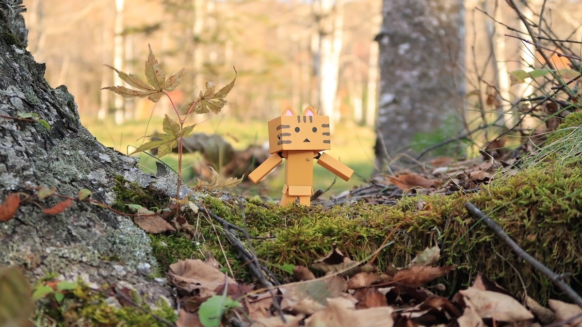 f:id:shirokumapanda:20191022011036j:plain