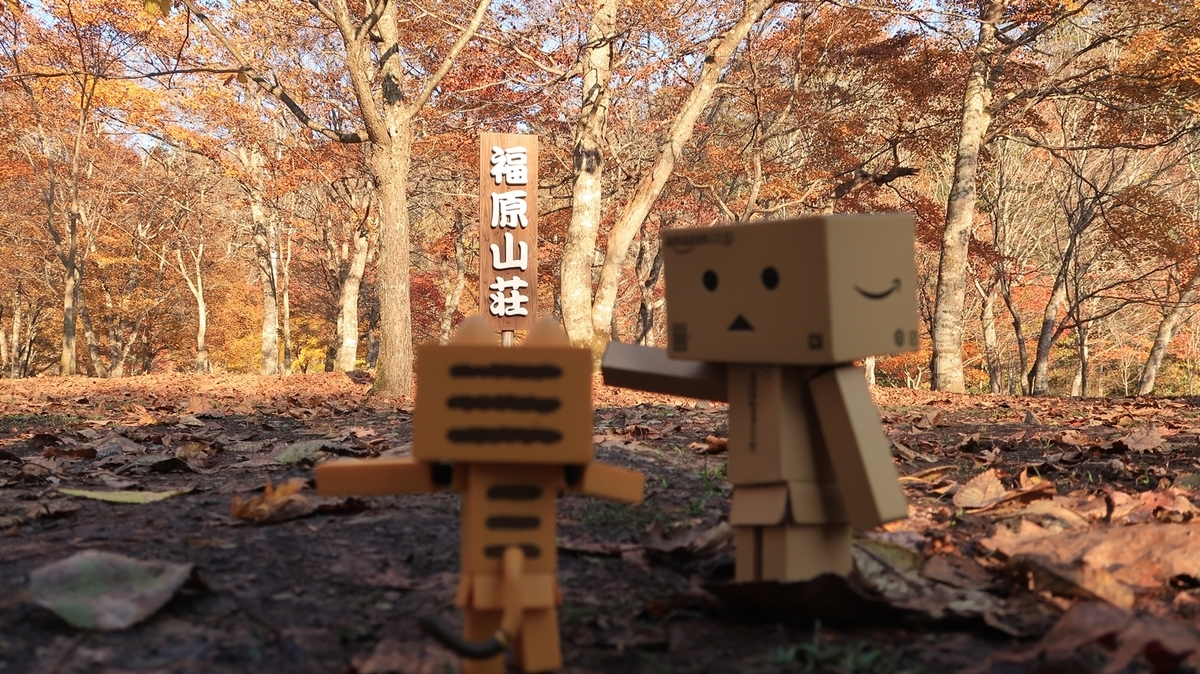 f:id:shirokumapanda:20191022011050j:plain