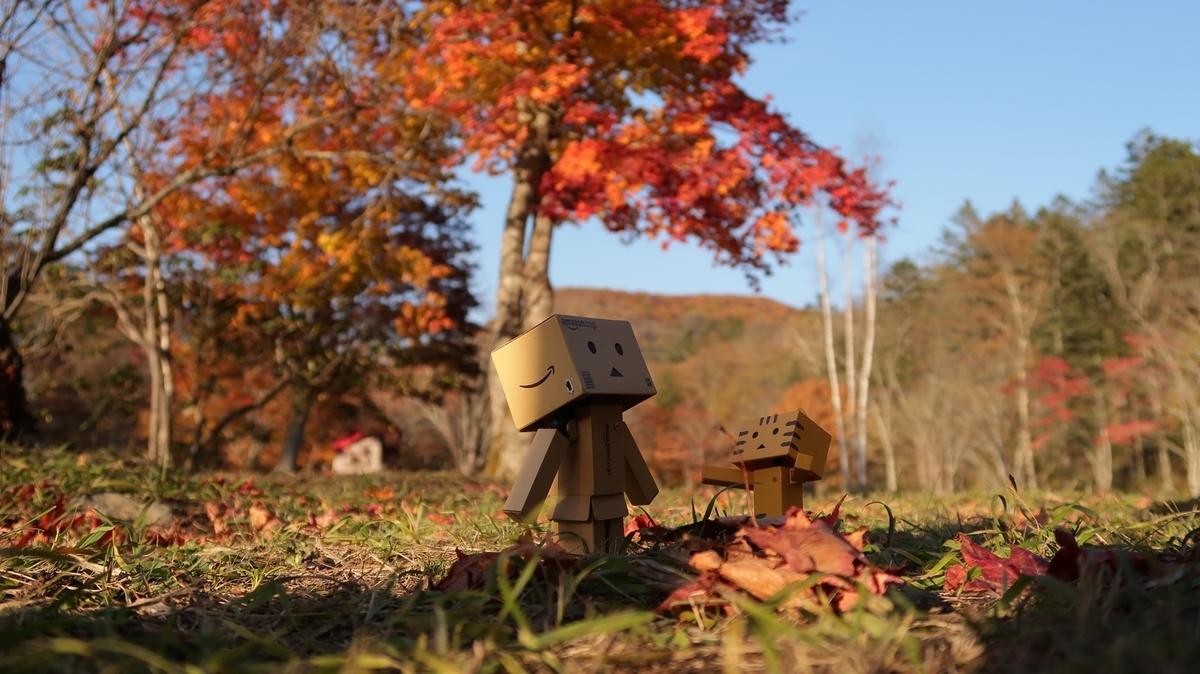 f:id:shirokumapanda:20191022011118j:plain