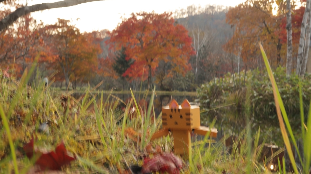 f:id:shirokumapanda:20191022011145j:plain