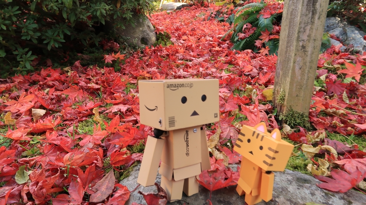 f:id:shirokumapanda:20191103233712j:plain