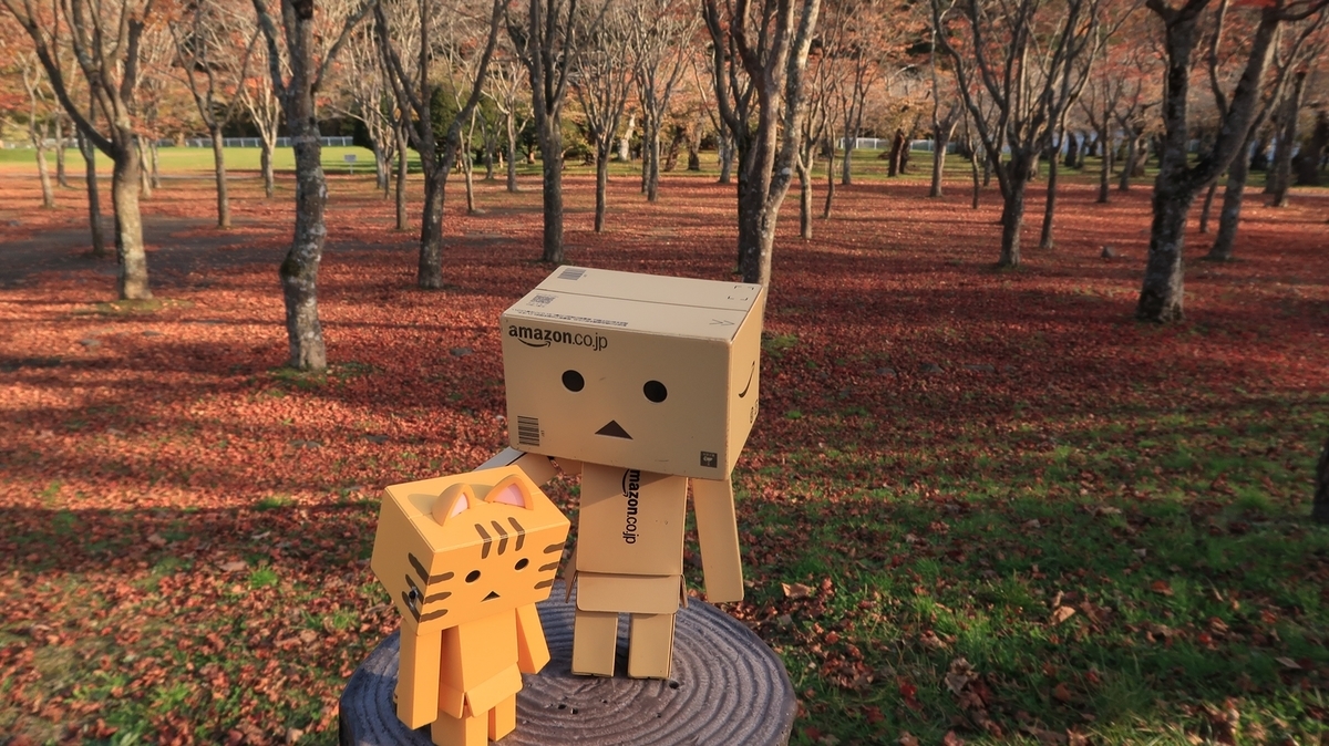 f:id:shirokumapanda:20191103233914j:plain