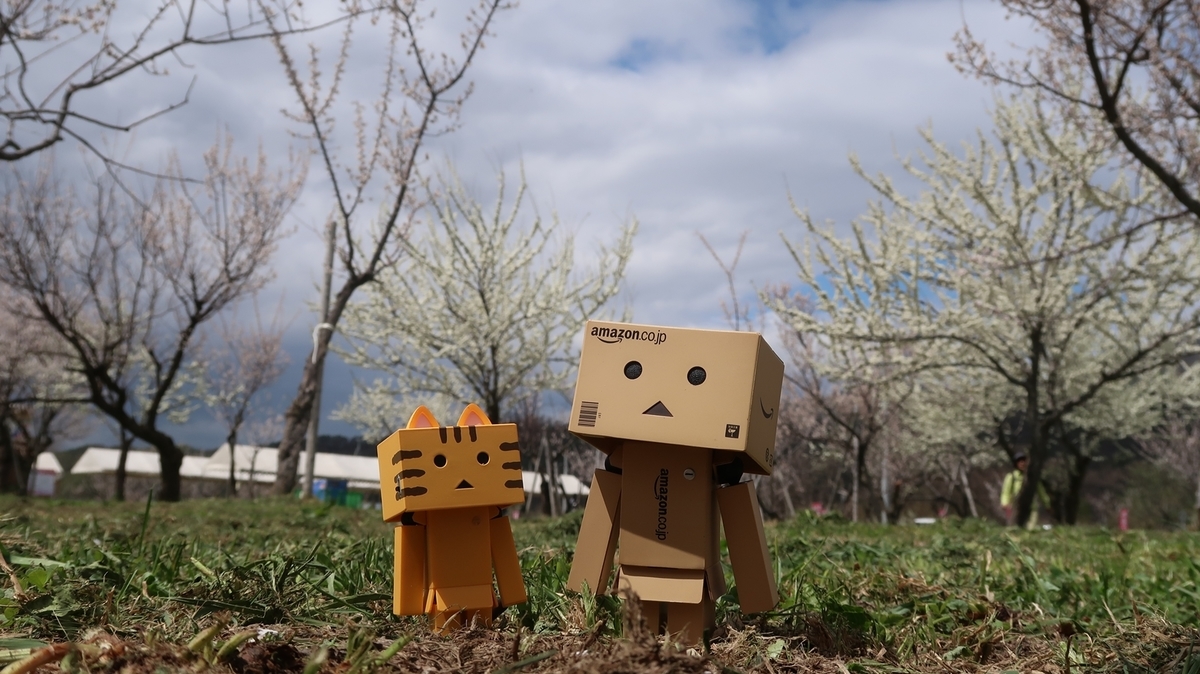f:id:shirokumapanda:20191118221251j:plain
