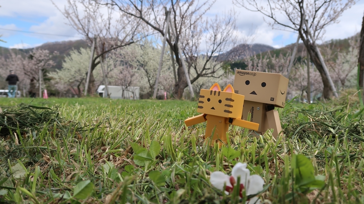 f:id:shirokumapanda:20191118221323j:plain