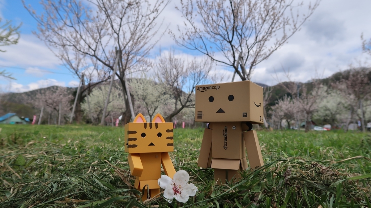 f:id:shirokumapanda:20191118221329j:plain