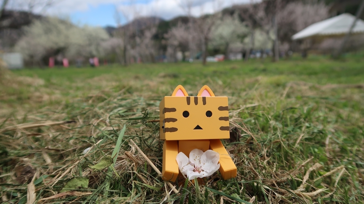 f:id:shirokumapanda:20191118221334j:plain