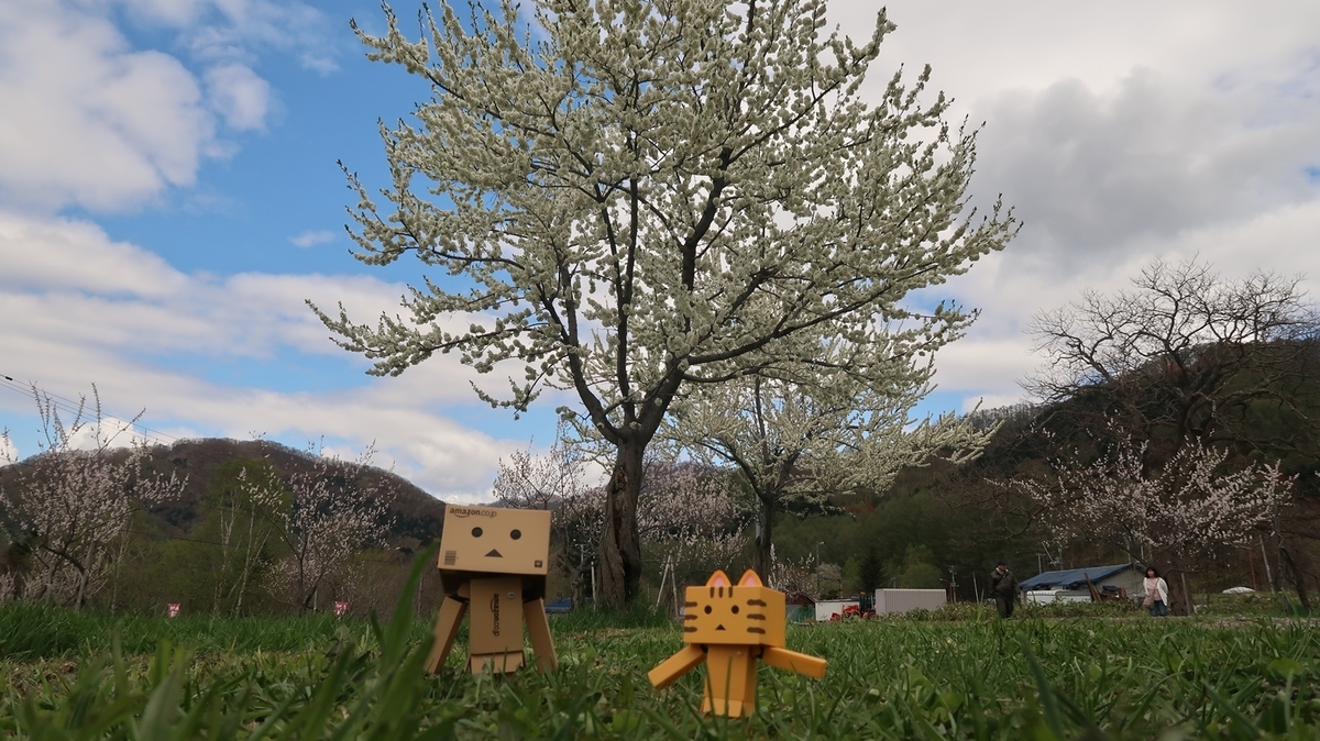 f:id:shirokumapanda:20191118221400j:plain