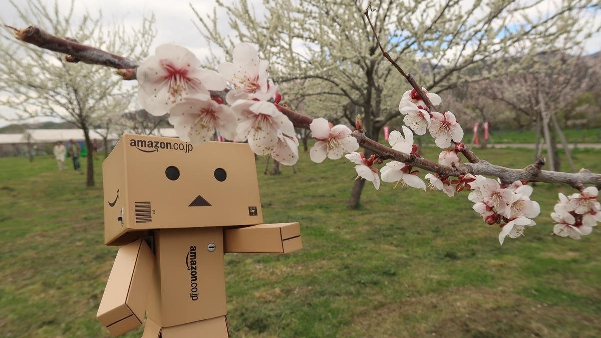 f:id:shirokumapanda:20191118221406j:plain