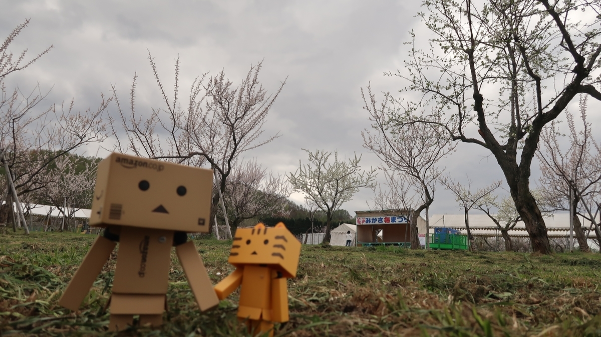 f:id:shirokumapanda:20191118221435j:plain
