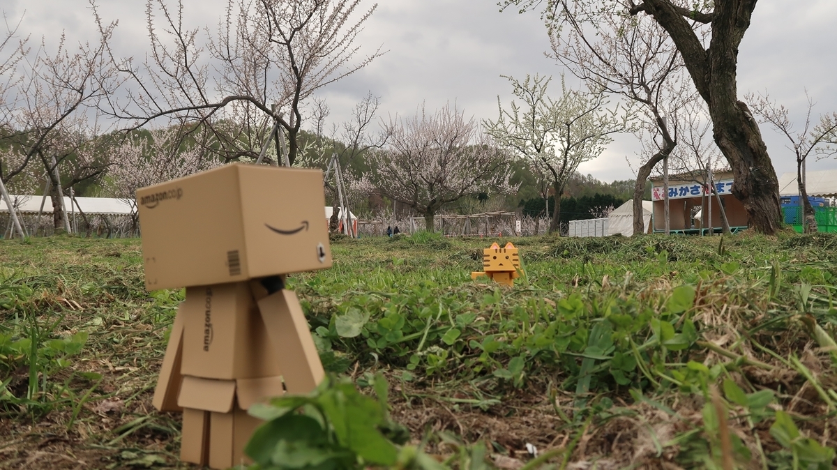 f:id:shirokumapanda:20191118221454j:plain