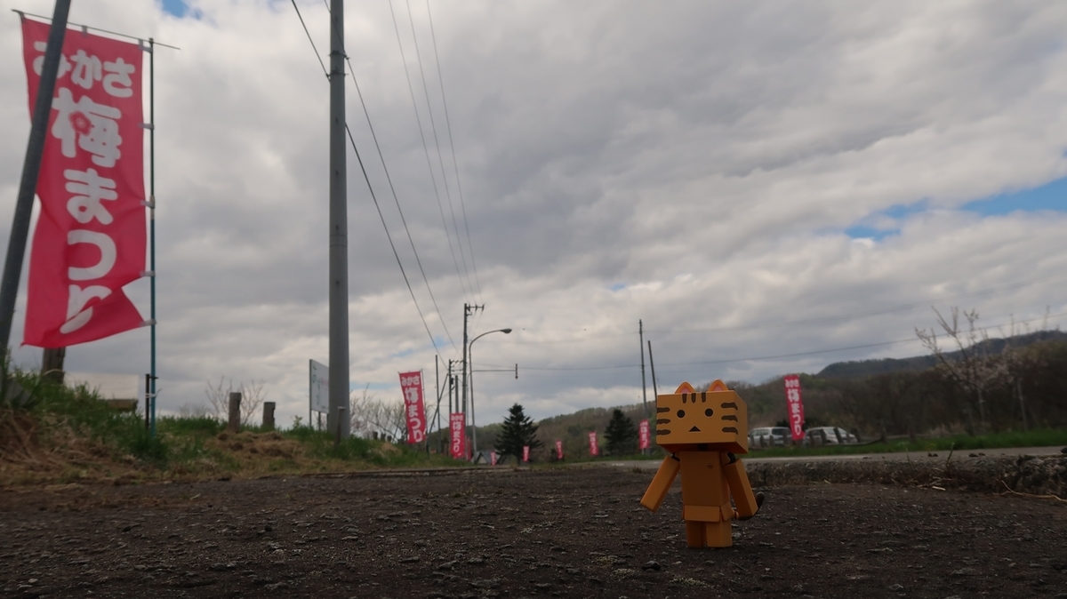 f:id:shirokumapanda:20191118221503j:plain