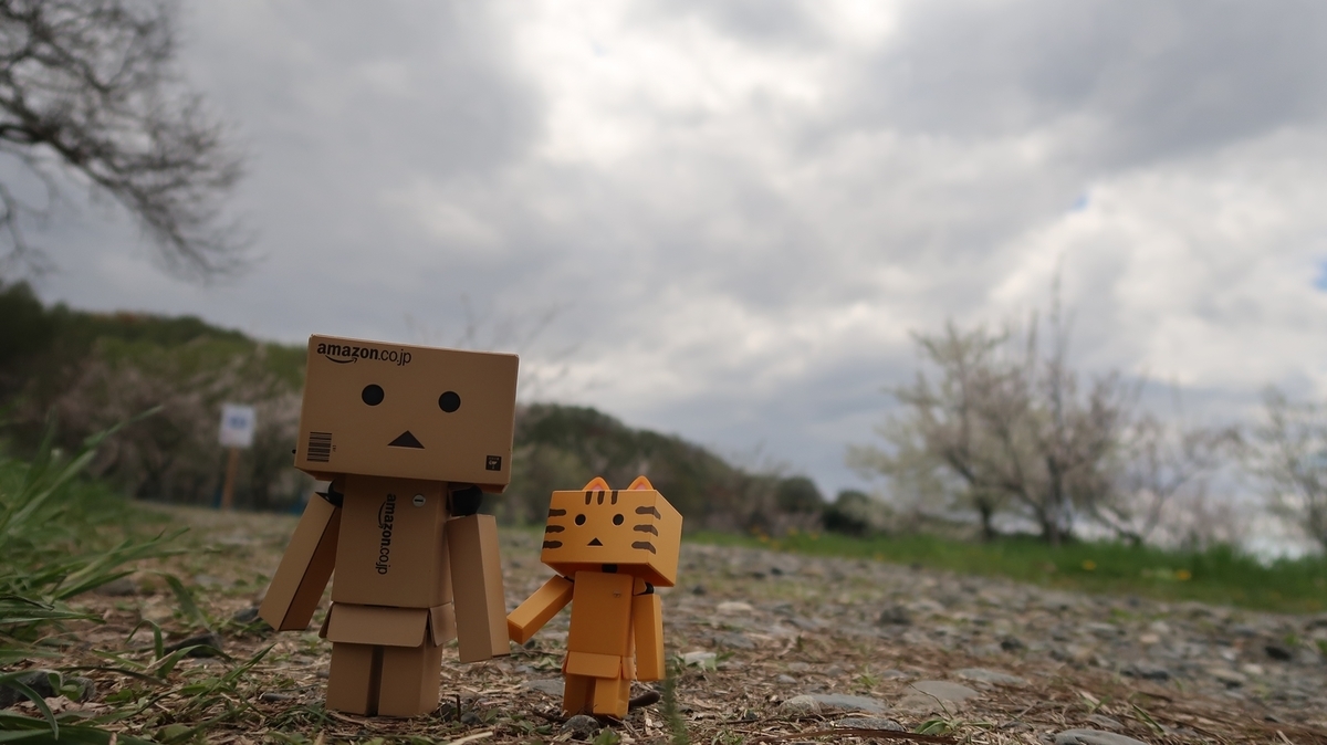 f:id:shirokumapanda:20191118221523j:plain