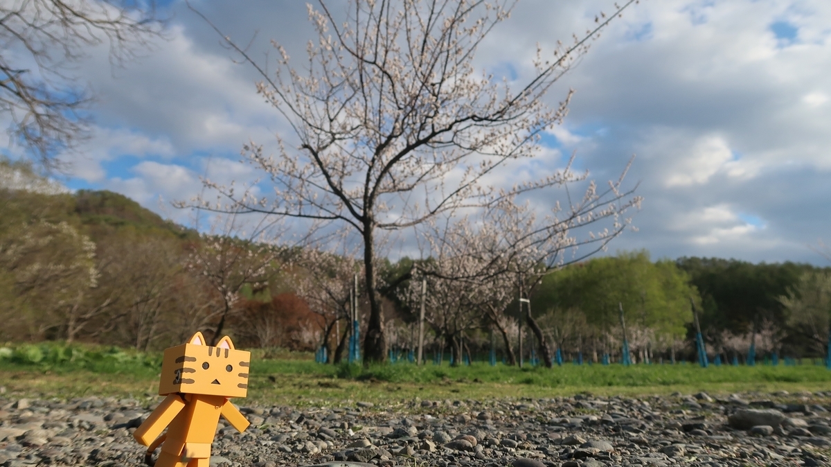 f:id:shirokumapanda:20191118221609j:plain