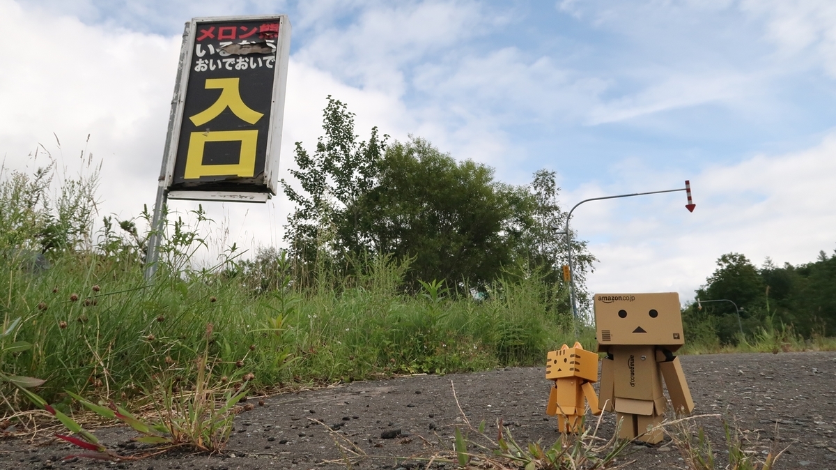 f:id:shirokumapanda:20191122012055j:plain