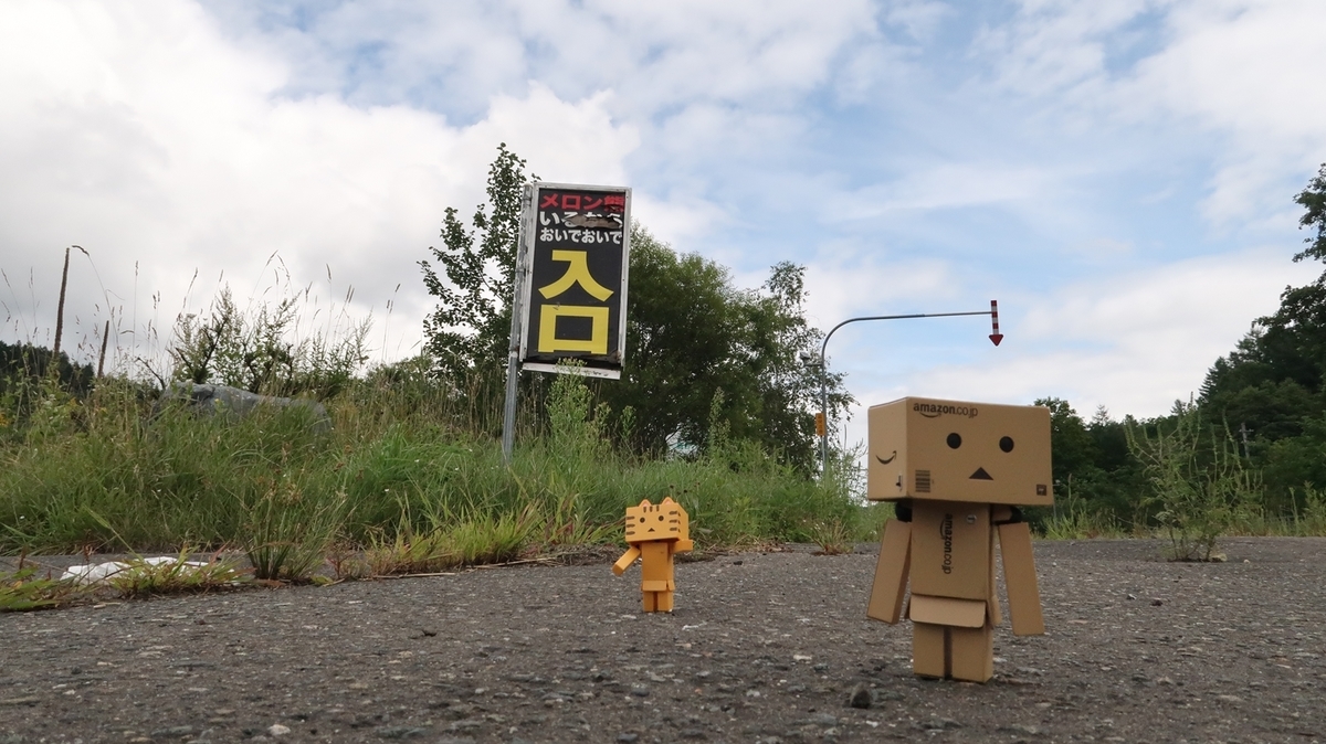 f:id:shirokumapanda:20191122012114j:plain