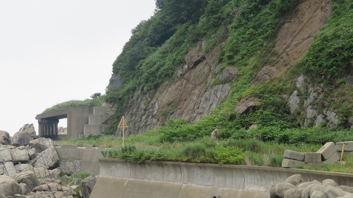 f:id:shirokumapanda:20191127012808j:plain