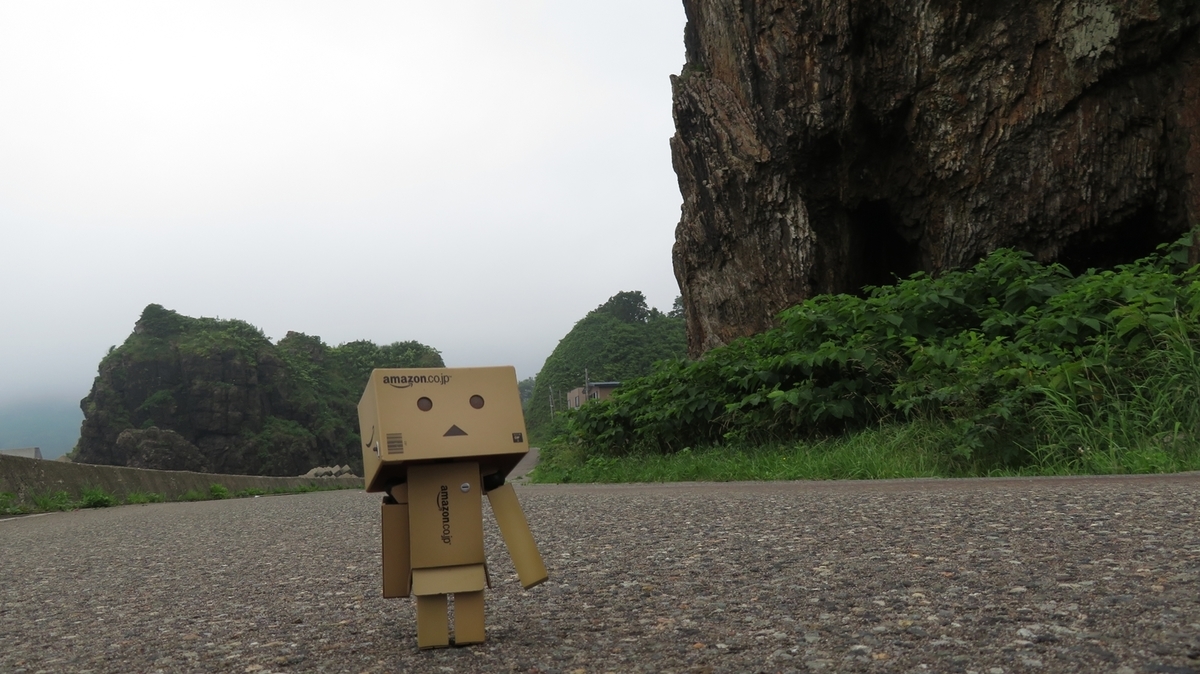 f:id:shirokumapanda:20191127014920j:plain