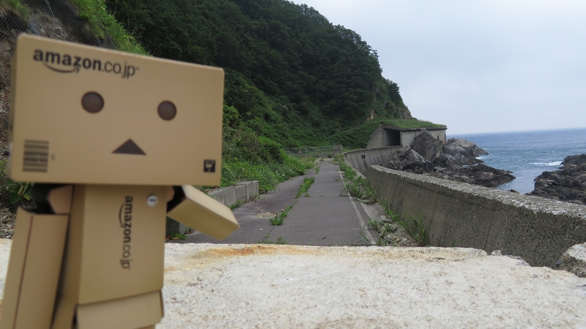 f:id:shirokumapanda:20191128001859j:plain