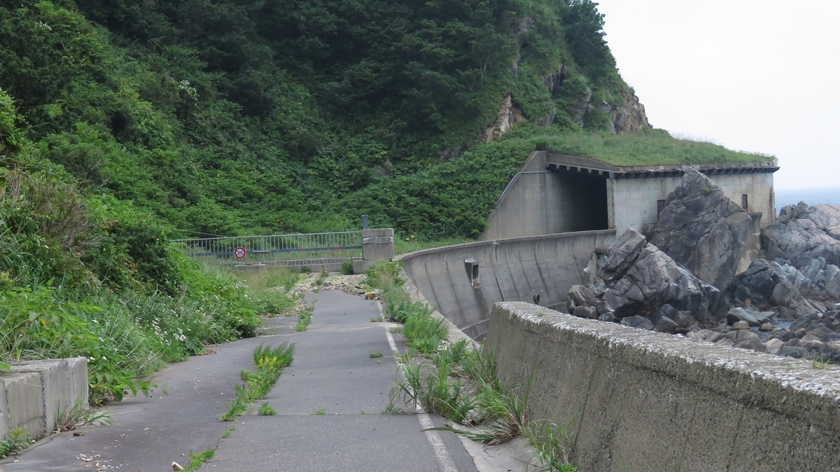 f:id:shirokumapanda:20191128001905j:plain