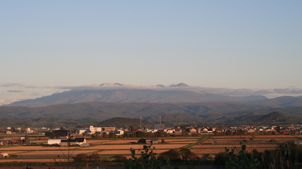 f:id:shirokumapanda:20191130020748j:plain