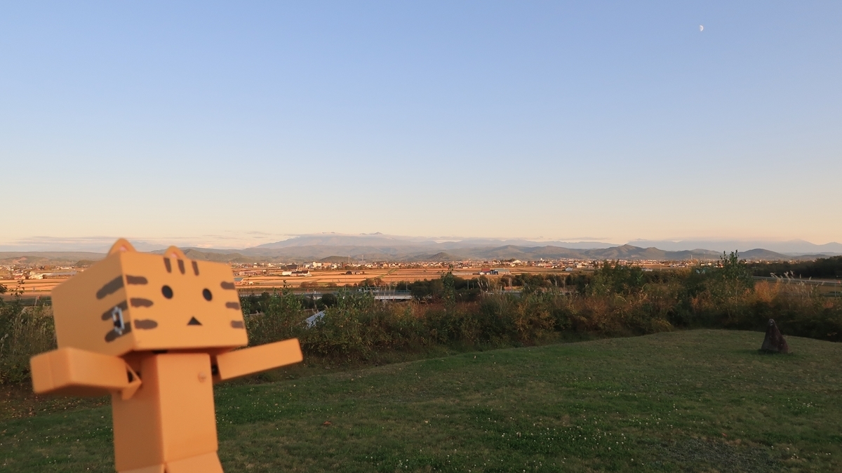 f:id:shirokumapanda:20191130020753j:plain