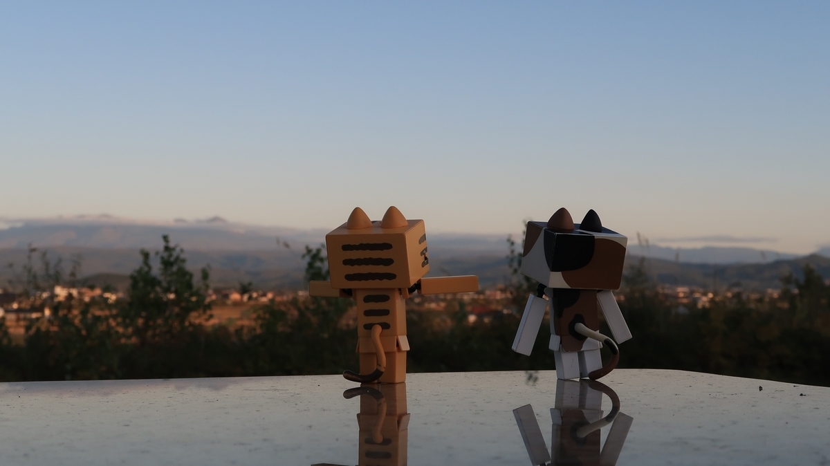 f:id:shirokumapanda:20191130020759j:plain