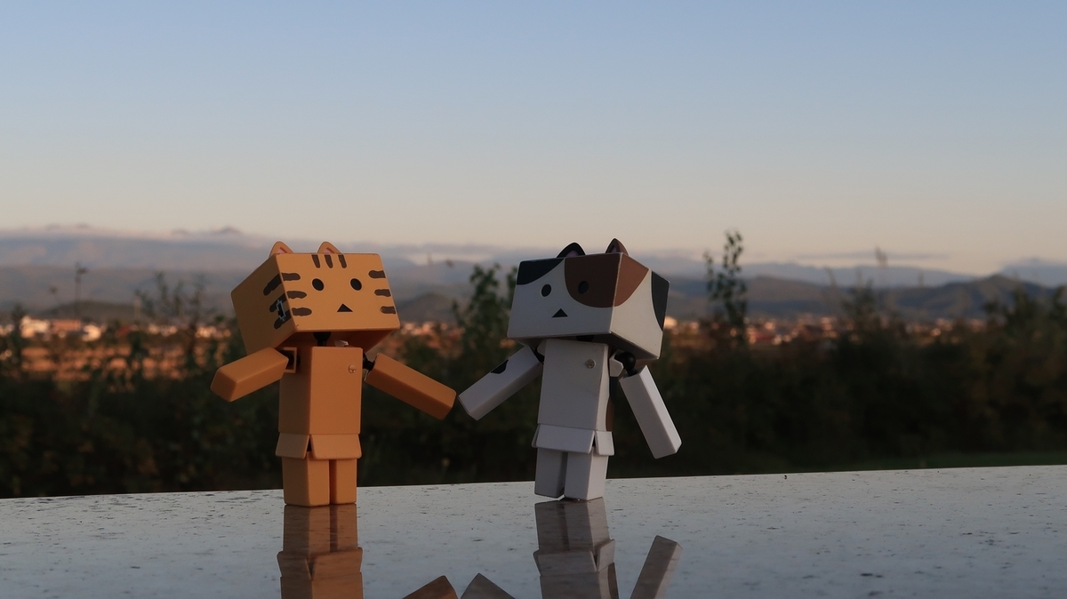 f:id:shirokumapanda:20191130020804j:plain