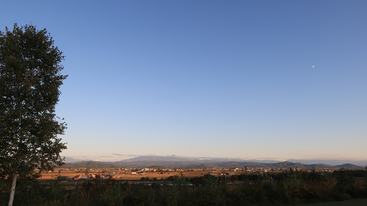 f:id:shirokumapanda:20191130020809j:plain