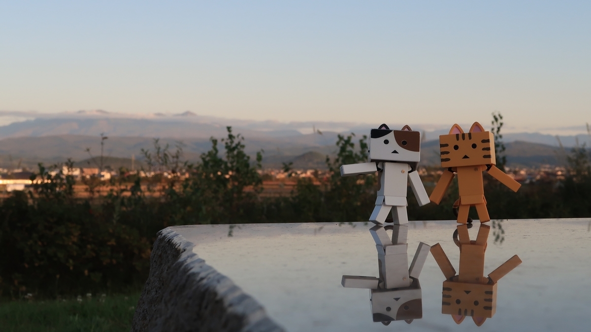 f:id:shirokumapanda:20191130020814j:plain