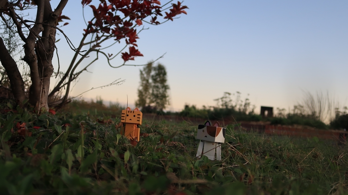 f:id:shirokumapanda:20191130020834j:plain