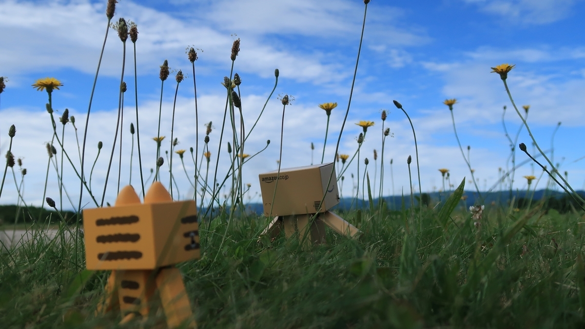 f:id:shirokumapanda:20191207230155j:plain