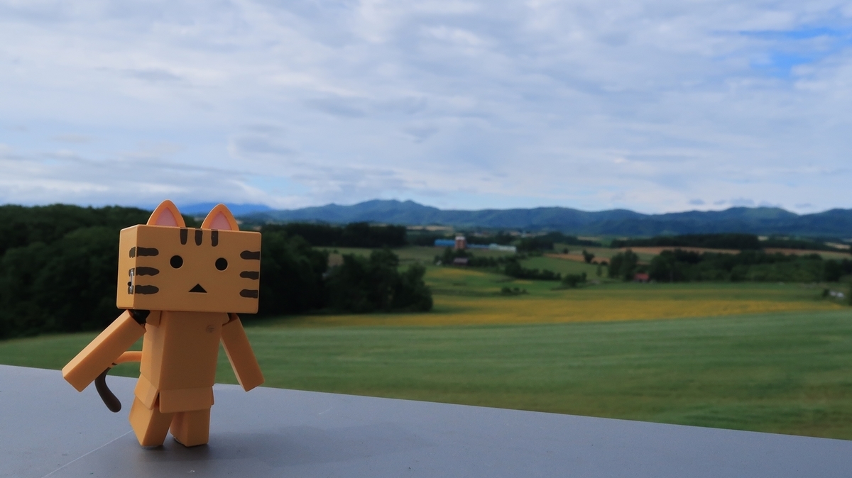 f:id:shirokumapanda:20191207230231j:plain