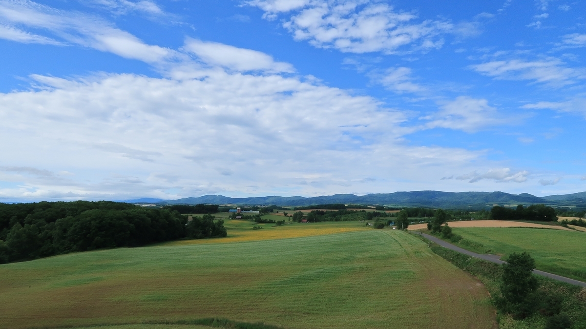 f:id:shirokumapanda:20191207230246j:plain