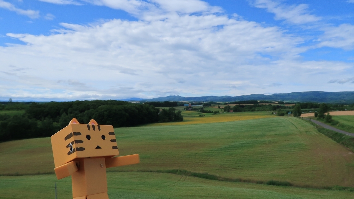 f:id:shirokumapanda:20191207230251j:plain