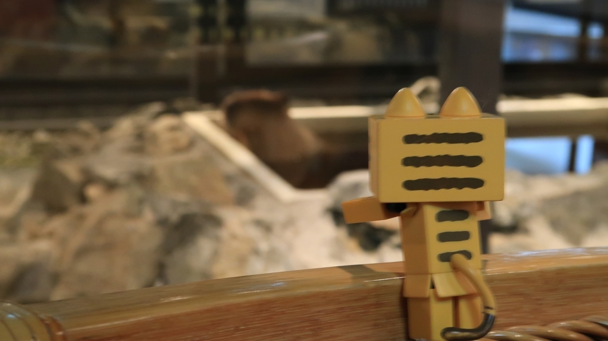 f:id:shirokumapanda:20191214092041j:plain