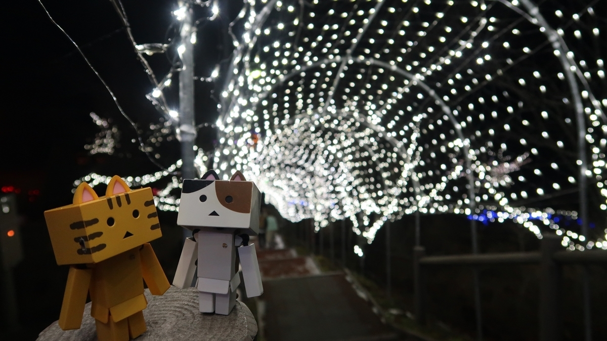 f:id:shirokumapanda:20191215014237j:plain f:id:shirokumapanda:20191215014237j:plain