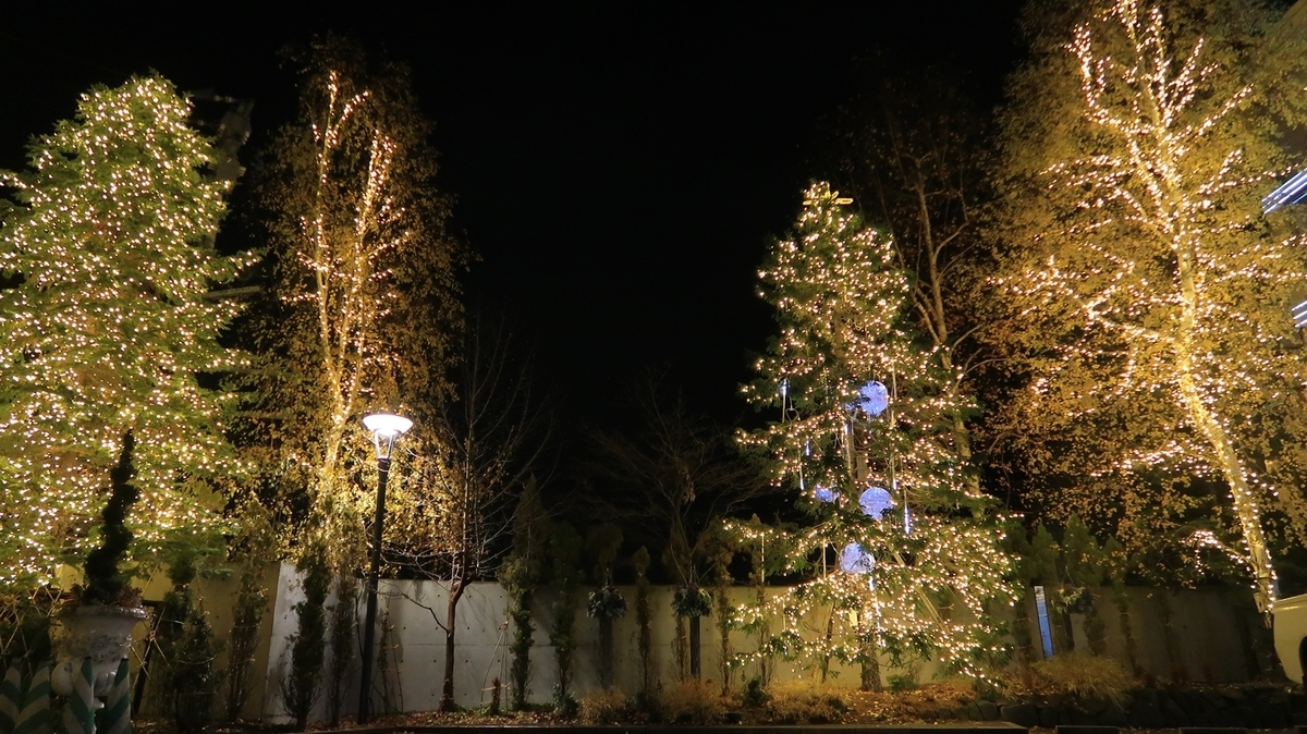 f:id:shirokumapanda:20191218000635j:plain