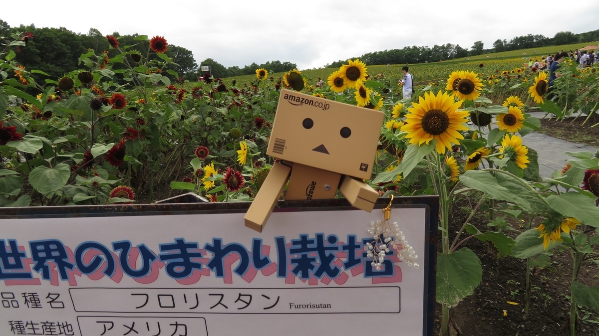 北竜町 いろいろ花咲く 世界のひまわりコーナー 北海道ミテミル イッテミル 北海道観光スポット巡り旅