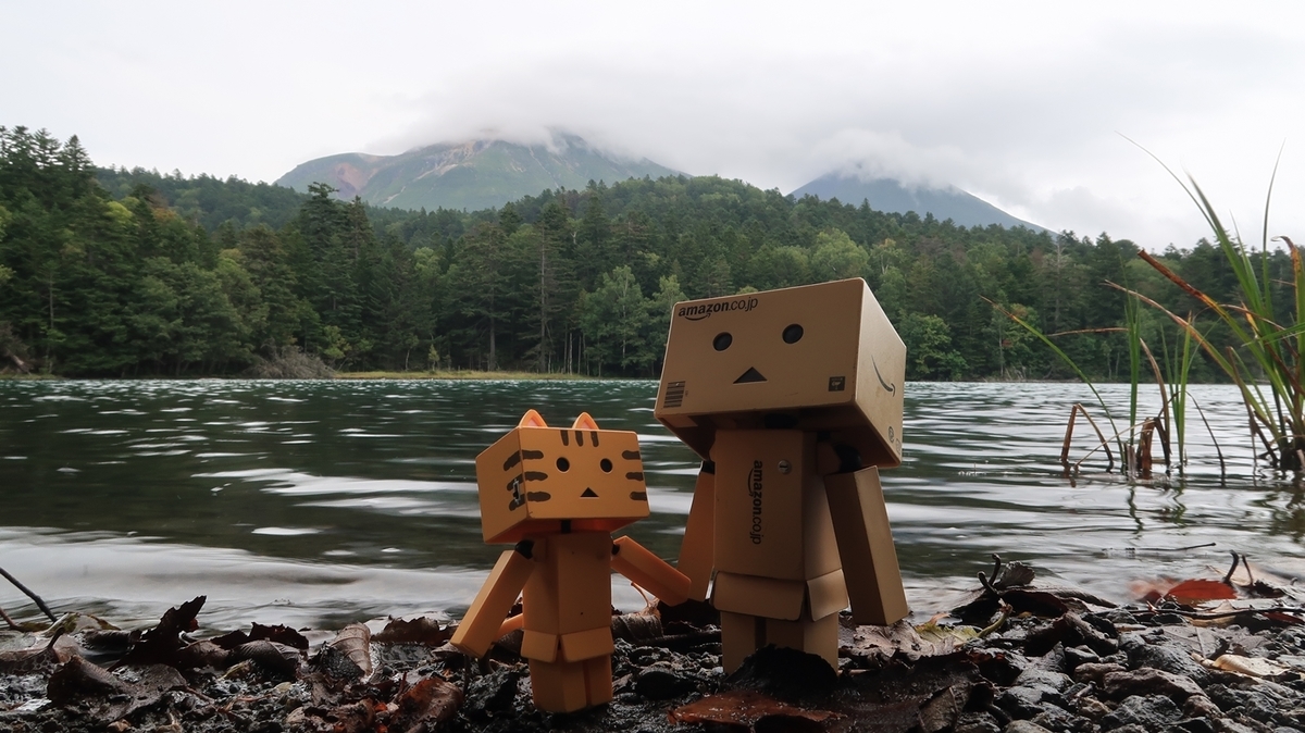f:id:shirokumapanda:20191229113715j:plain f:id:shirokumapanda:20191229113715j:plain