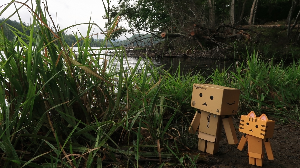 f:id:shirokumapanda:20191229113723j:plain f:id:shirokumapanda:20191229113723j:plain