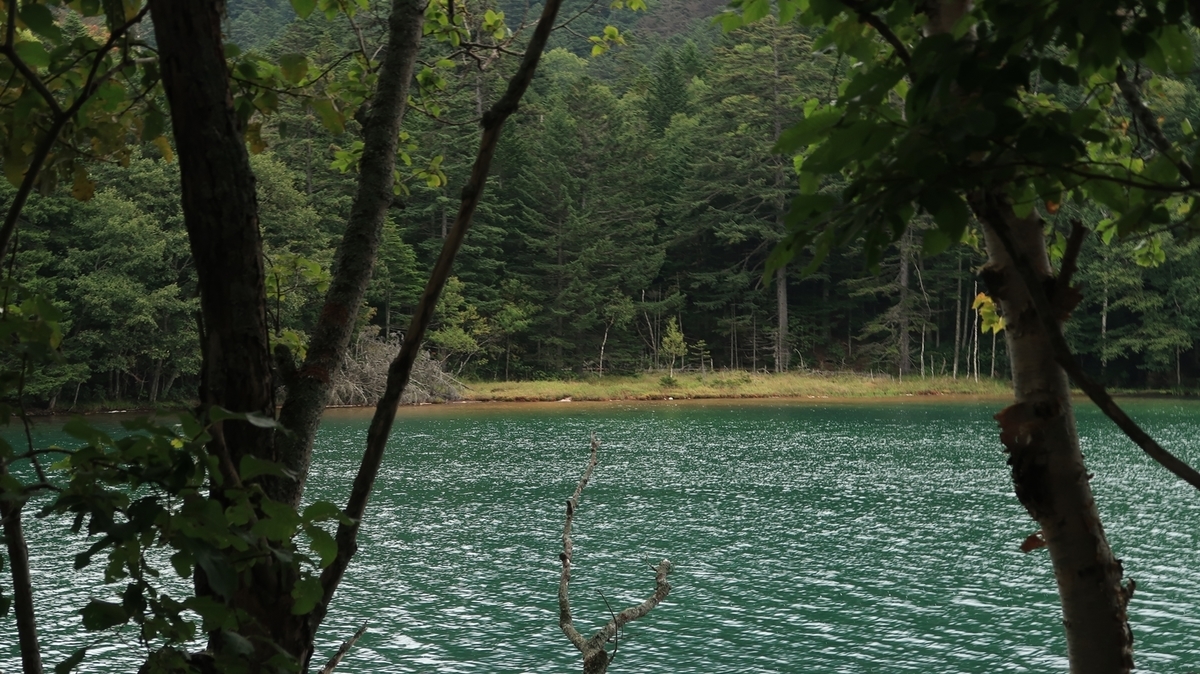 f:id:shirokumapanda:20191229113743j:plain f:id:shirokumapanda:20191229113743j:plain