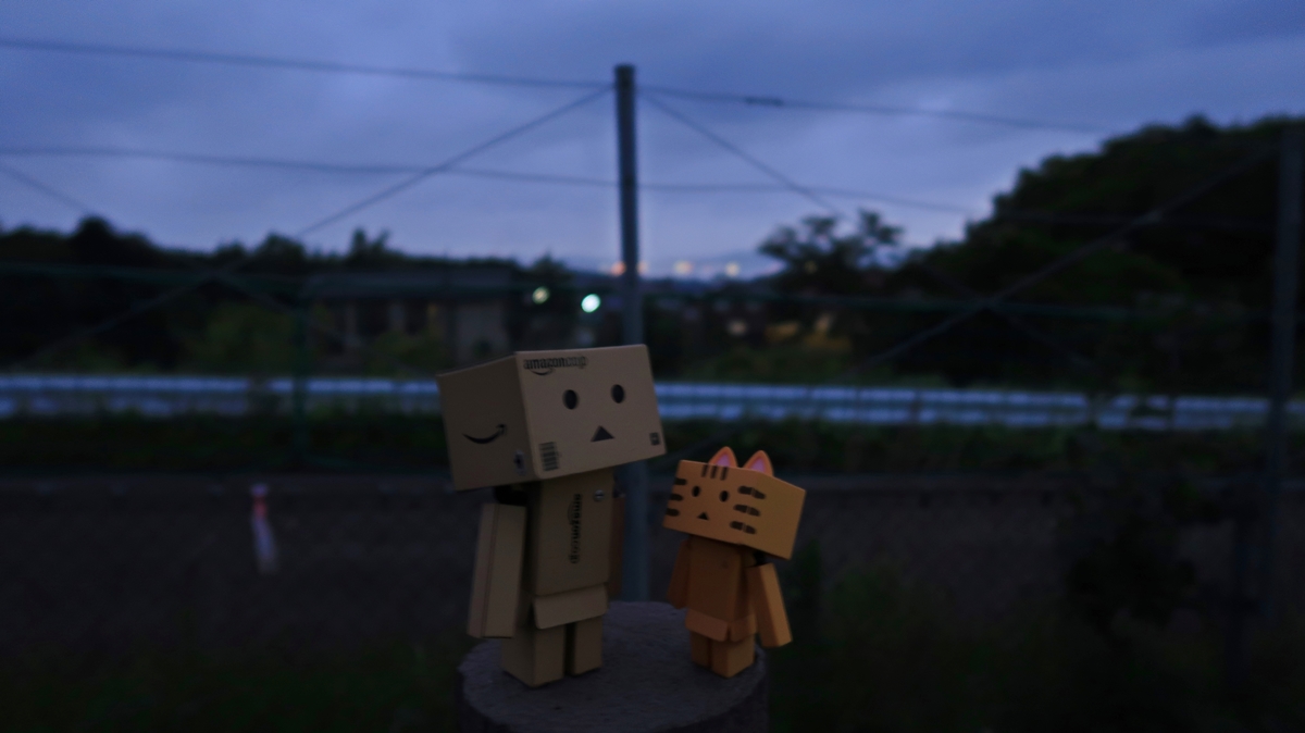f:id:shirokumapanda:20200105000248j:plain f:id:shirokumapanda:20200105000248j:plain