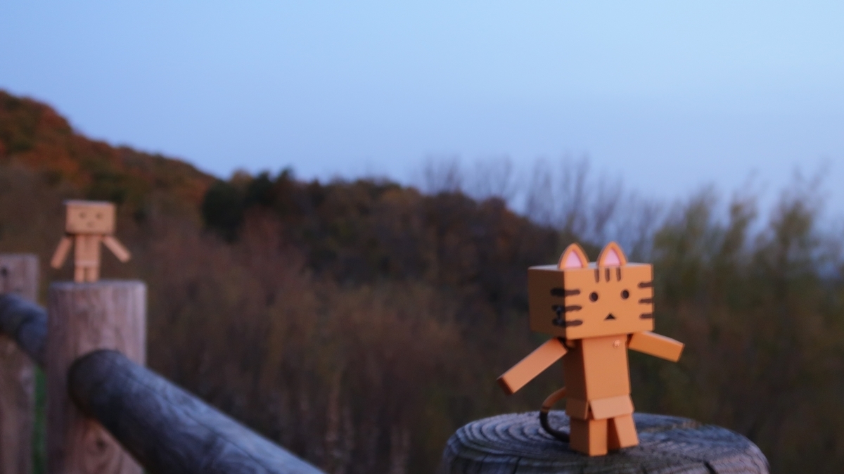 f:id:shirokumapanda:20200105032702j:plain
