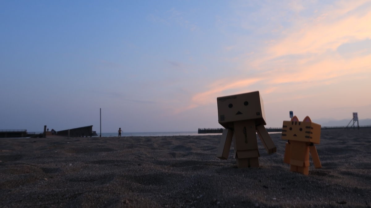 f:id:shirokumapanda:20200124024016j:plain f:id:shirokumapanda:20200124024016j:plain
