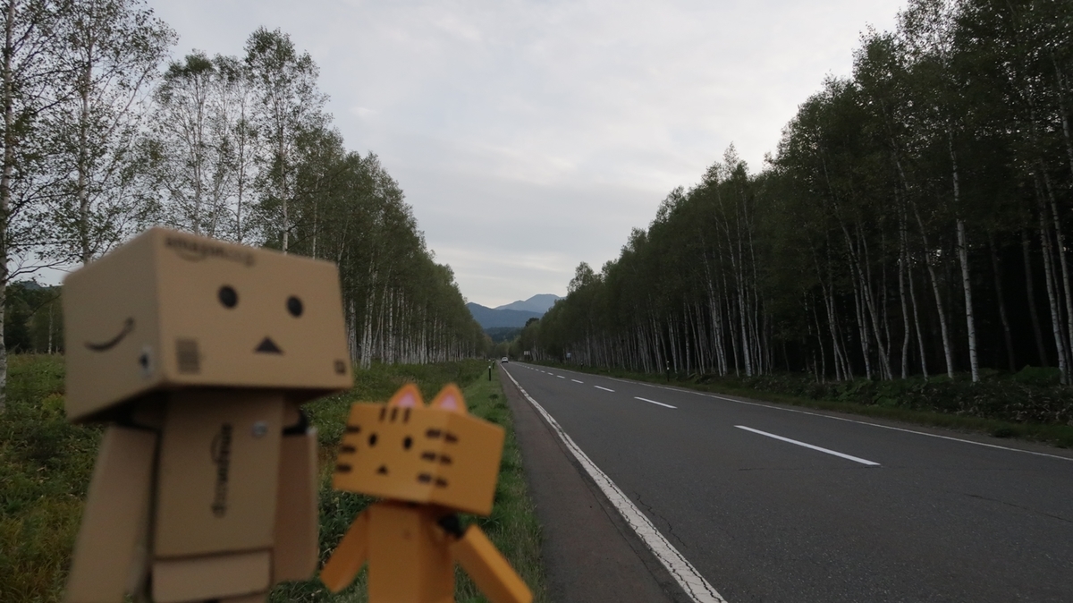 f:id:shirokumapanda:20200124172829j:plain f:id:shirokumapanda:20200124172829j:plain