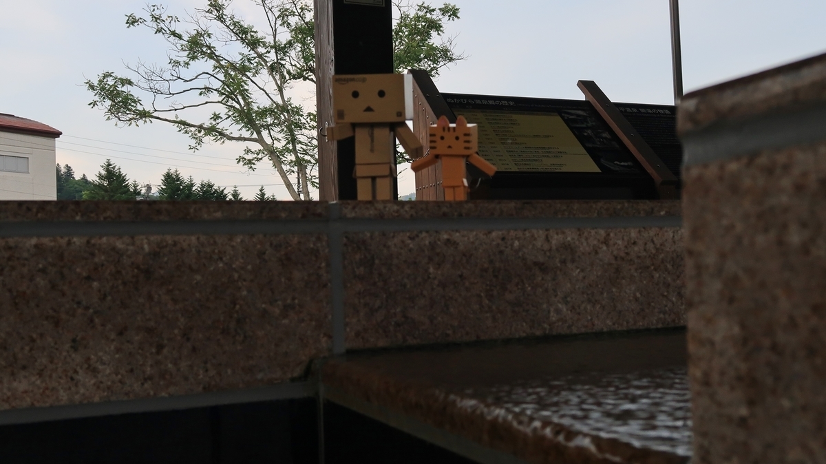 f:id:shirokumapanda:20200129022003j:plain f:id:shirokumapanda:20200129022003j:plain