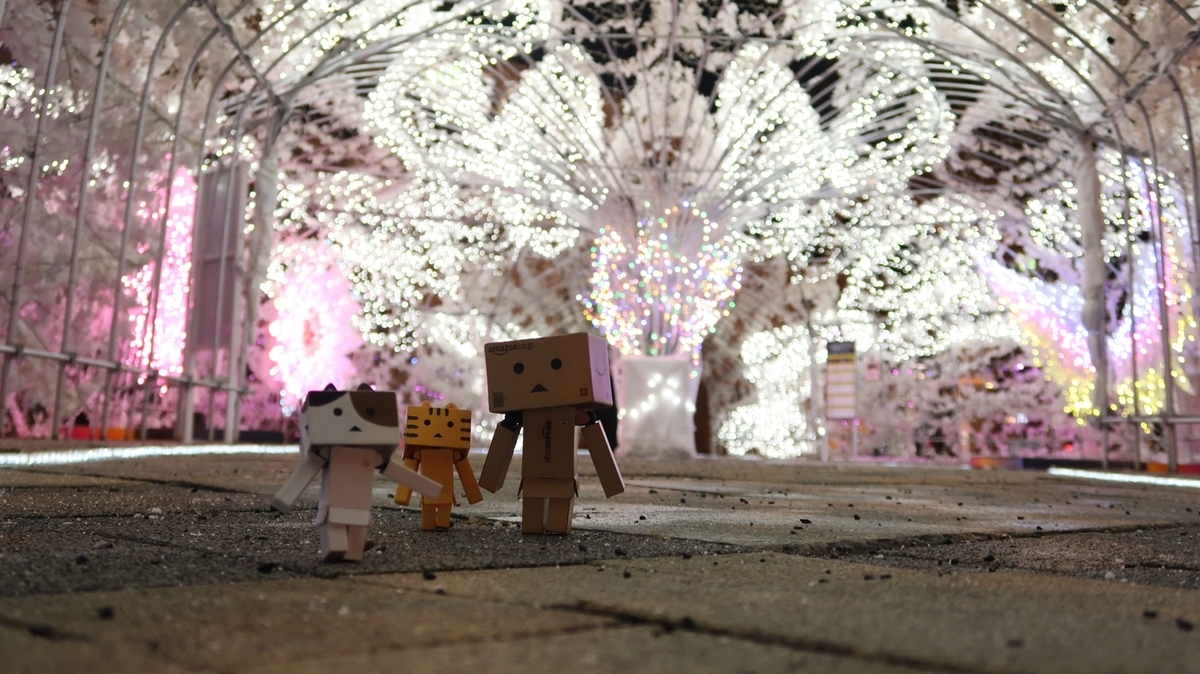 f:id:shirokumapanda:20200130005853j:plain