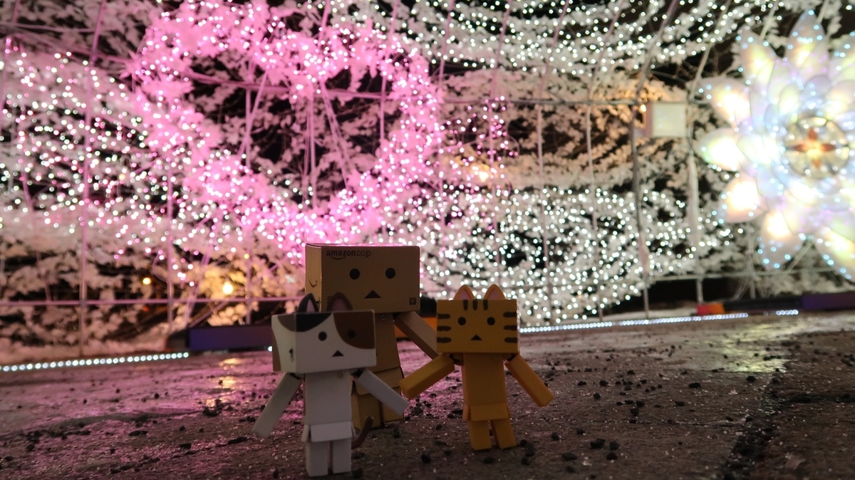 f:id:shirokumapanda:20200130005904j:plain