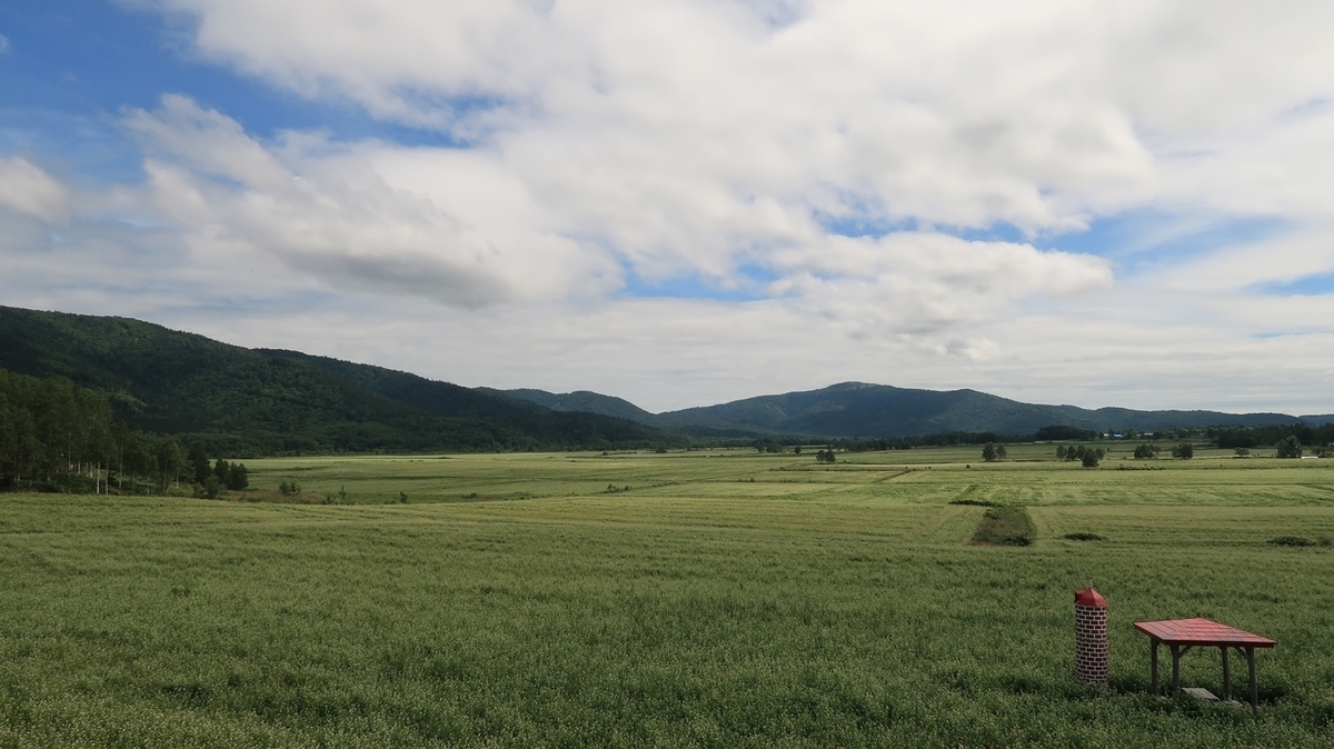 f:id:shirokumapanda:20200201012623j:plain