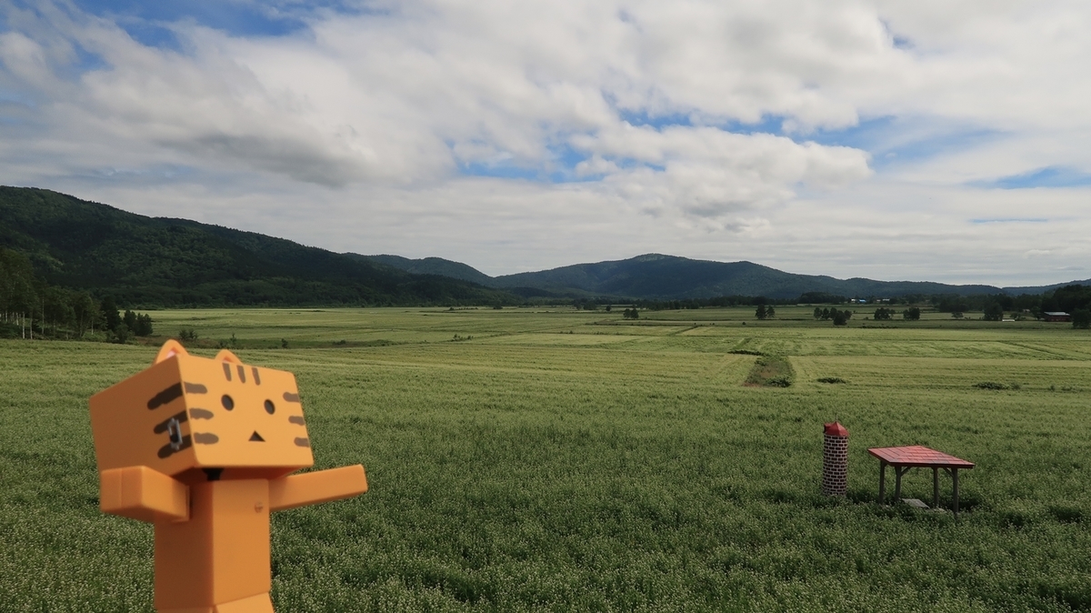 f:id:shirokumapanda:20200201012629j:plain